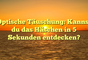 Optische Täuschung: Kannst du das Häschen in 5 Sekunden entdecken?