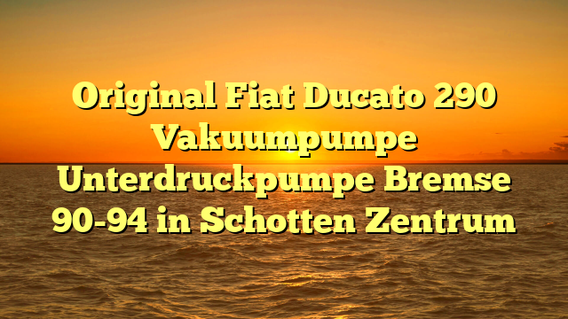 Original Fiat Ducato 290 Vakuumpumpe Unterdruckpumpe Bremse 90-94 in Schotten Zentrum