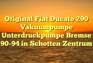 Original Fiat Ducato 290 Vakuumpumpe Unterdruckpumpe Bremse 90-94 in Schotten Zentrum
