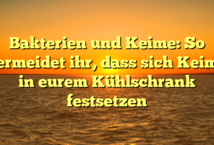 Bakterien und Keime: So vermeidet ihr, dass sich Keime in eurem Kühlschrank festsetzen