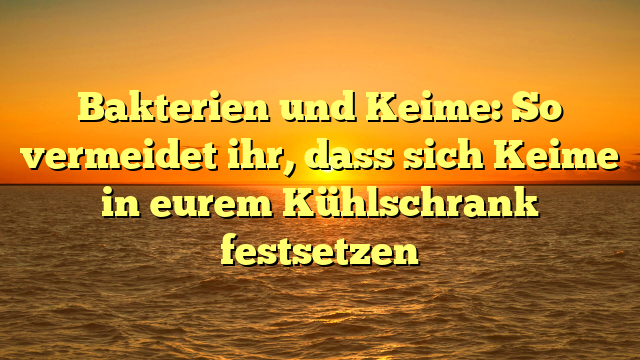 Bakterien und Keime: So vermeidet ihr, dass sich Keime in eurem Kühlschrank festsetzen