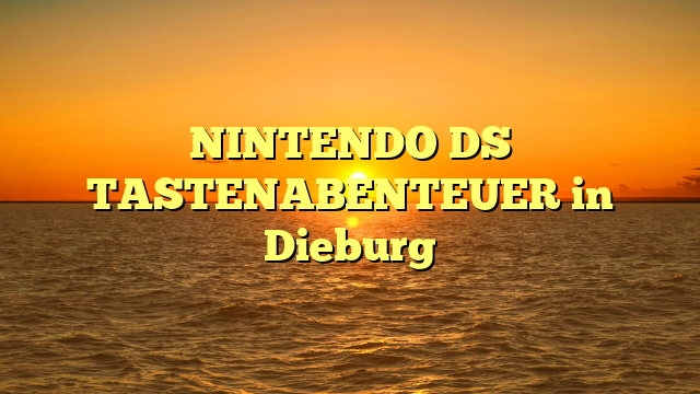 NINTENDO DS TASTENABENTEUER in Dieburg