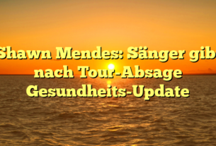 Shawn Mendes: Sänger gibt nach Tour-Absage Gesundheits-Update