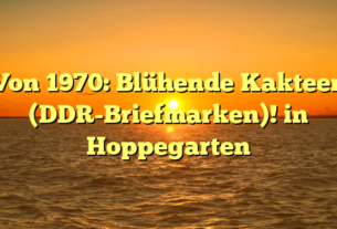 Von 1970: Blühende Kakteen (DDR-Briefmarken)! in Hoppegarten