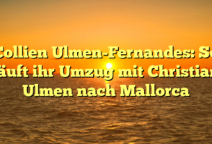 Collien Ulmen-Fernandes: So läuft ihr Umzug mit Christian Ulmen nach Mallorca