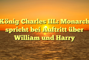 König Charles III.: Monarch spricht bei Auftritt über William und Harry
