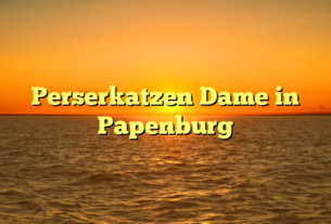 Perserkatzen Dame in Papenburg