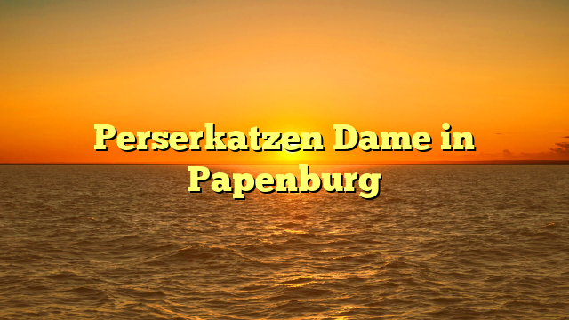 Perserkatzen Dame in Papenburg