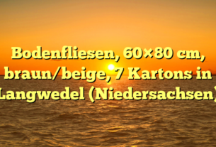 Bodenfliesen, 60×80 cm, braun/beige, 7 Kartons in Langwedel (Niedersachsen)