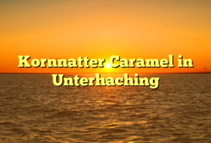 Kornnatter Caramel in Unterhaching