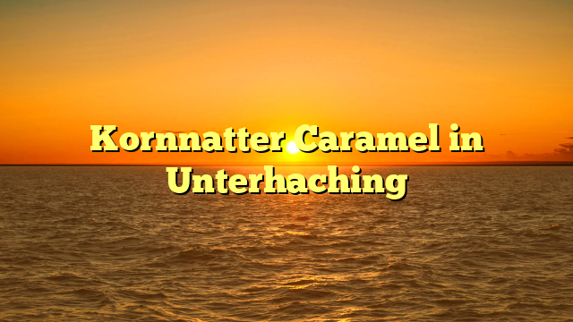 Kornnatter Caramel in Unterhaching
