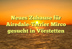 Neues Zuhause für Airedale-Terrier Mirco gesucht in Vörstetten