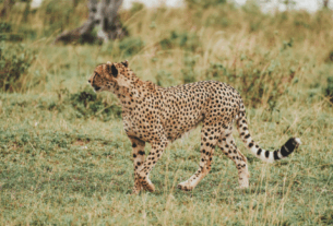 Website-Aufhaengerfoto-TIROLERIN-1-1024×576-1