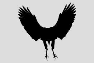 adleraugen-auf-deine-aengste-1-blick-reicht-und-du-erfaehrst-wovor-du-dich-am-meisten-fuerchtest