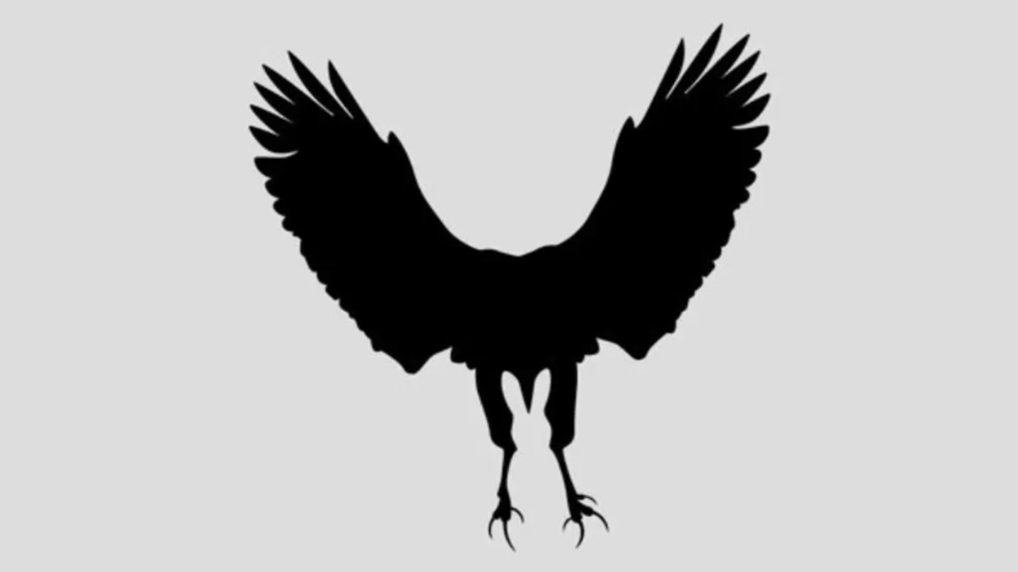 adleraugen-auf-deine-aengste-1-blick-reicht-und-du-erfaehrst-wovor-du-dich-am-meisten-fuerchtest