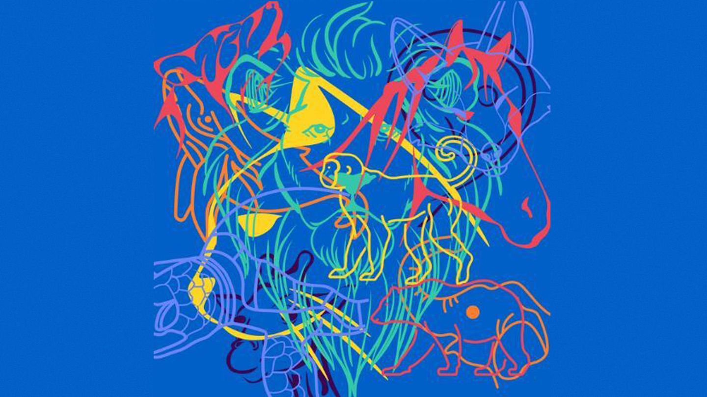 das-tier-das-du-zuerst-erkennst-verrat-dir-deinen-personlichkeitstyp