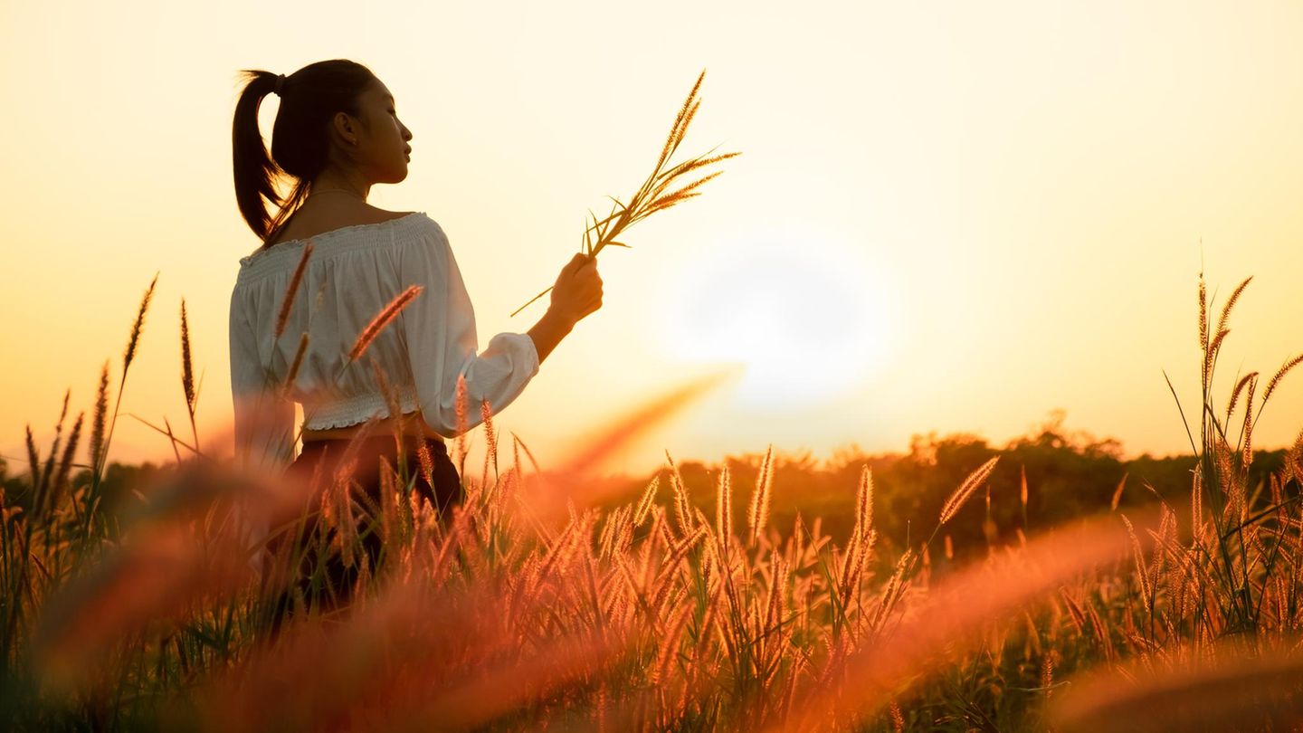 frau-feld-natur-247899743