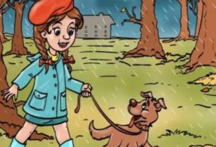 iq-test-nur-wer-auch-wirklich-genau-hinschaut-findet-den-absurden-fehler-im-wald