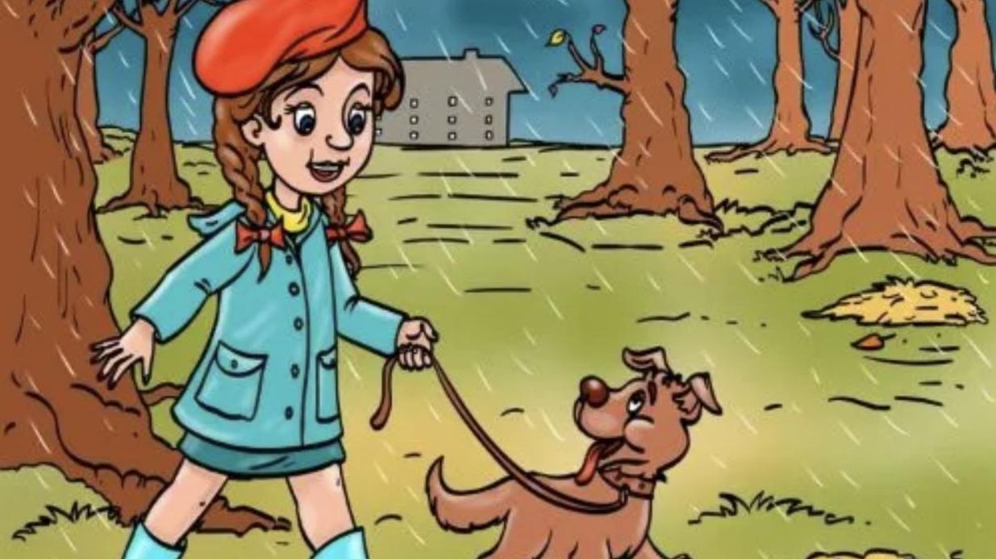 iq-test-nur-wer-auch-wirklich-genau-hinschaut-findet-den-absurden-fehler-im-wald