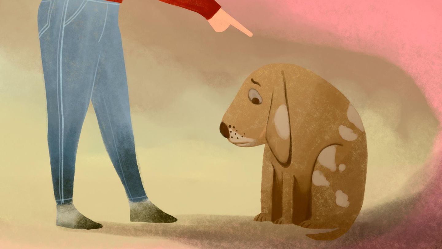 kommunikation-drei-woerter-antwort-wenn-jemand-deine-gefuehle-verletzt-hat