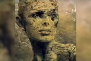 persoenlichkeitstest-wald-frau