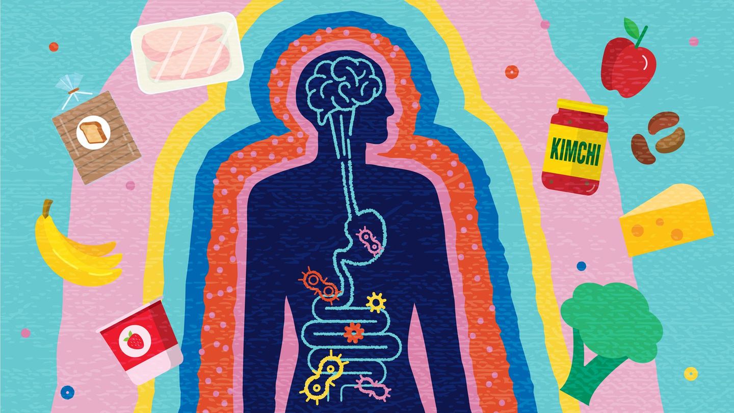 probiotika-darm-academy