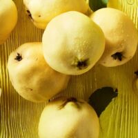 quitten-rezepte-bild-10