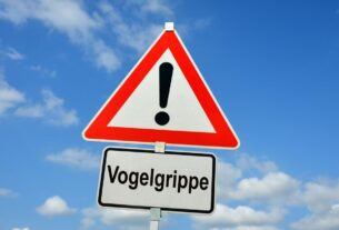 vogelgrippe