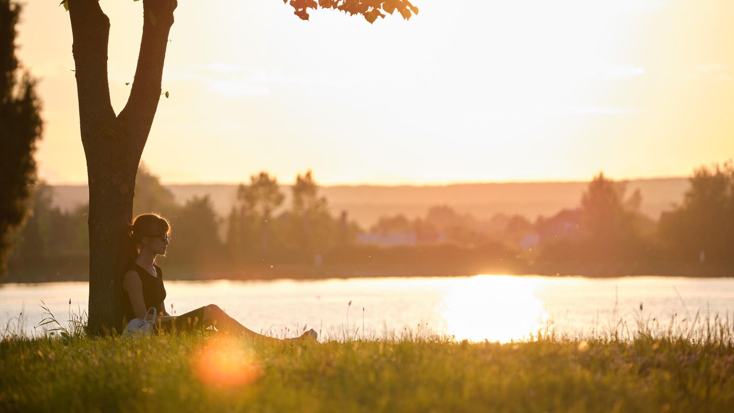 warum-nach-sinn-suchen