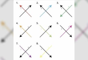 x-persoenlichkeitstest