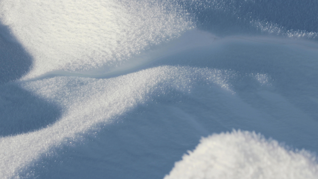 Kokain-Report-1125-1024×576-1