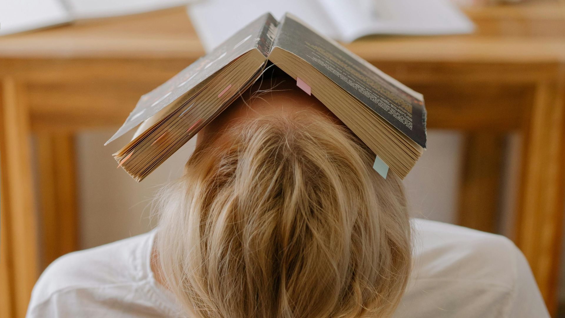 Website-Aufhaengerfoto-TIROLERIN-26