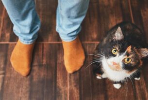 adobestock-190912896