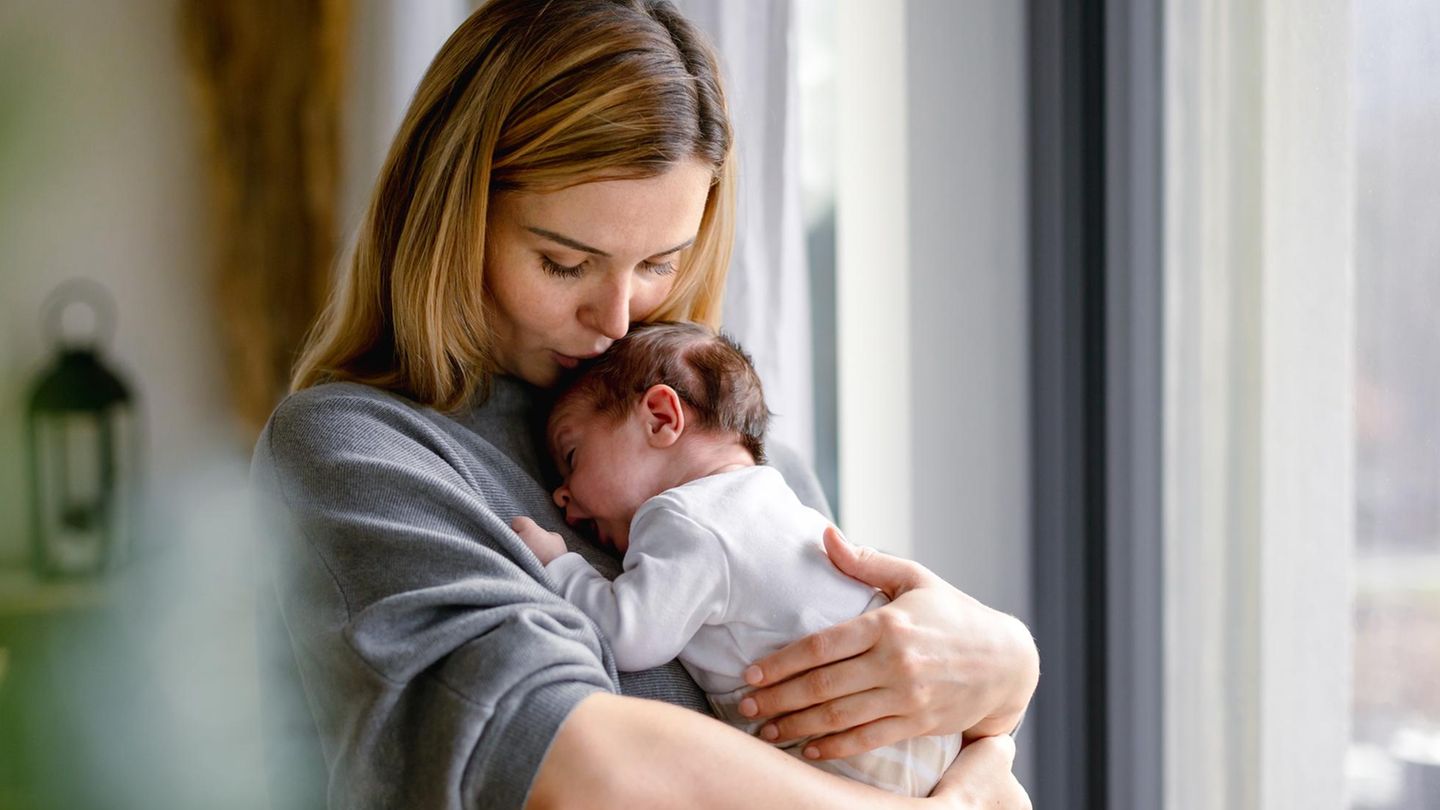 adobestock-559825198