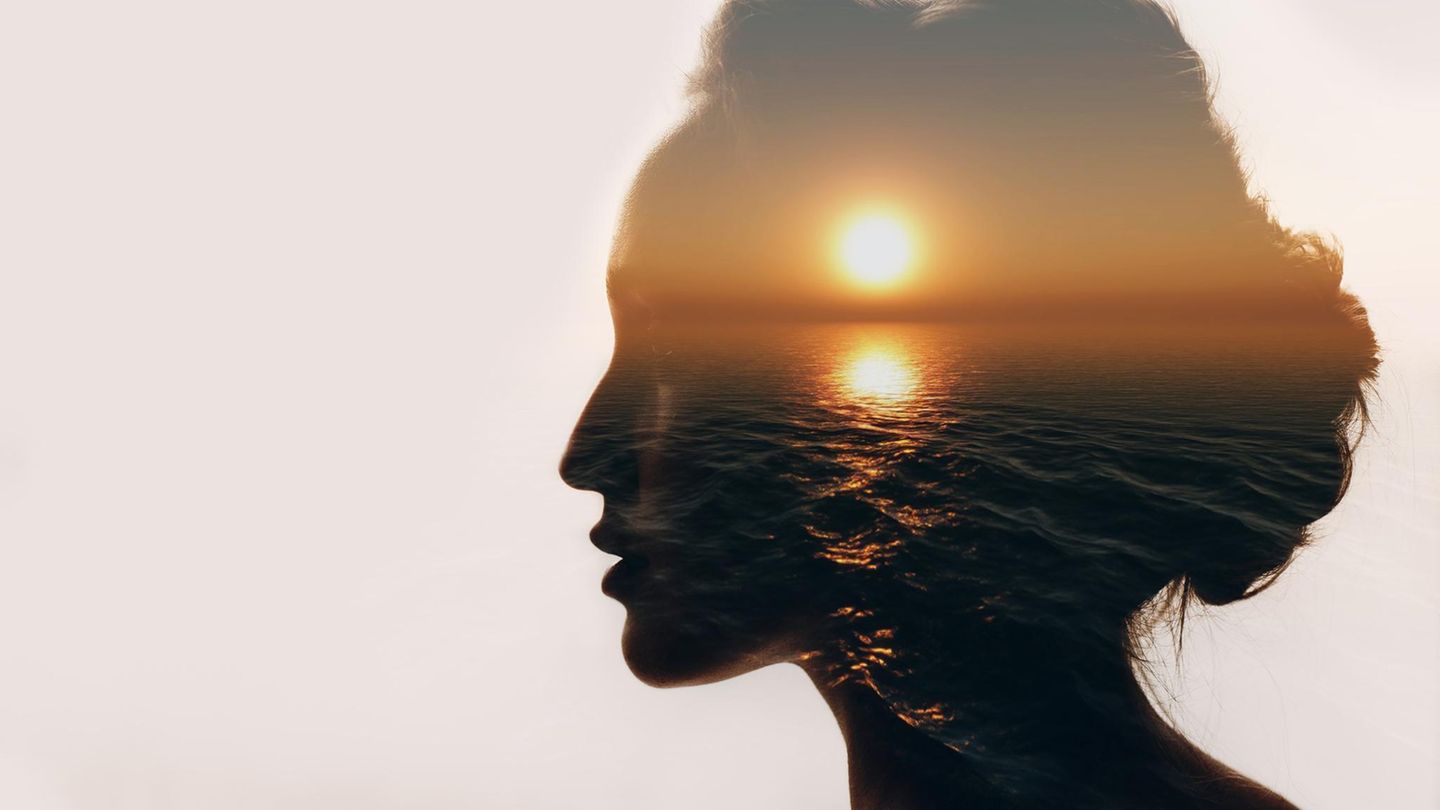 adobestock-586515840