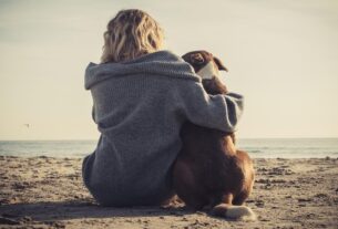 alternativ-entschuldigung