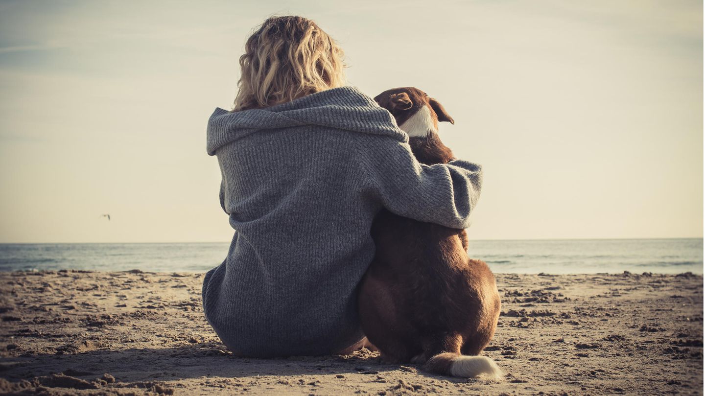 alternativ-entschuldigung