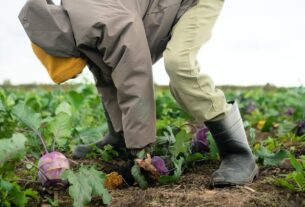 aufmacher-gartenarbeit