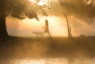 aufmacher-studie-alzheimer-1