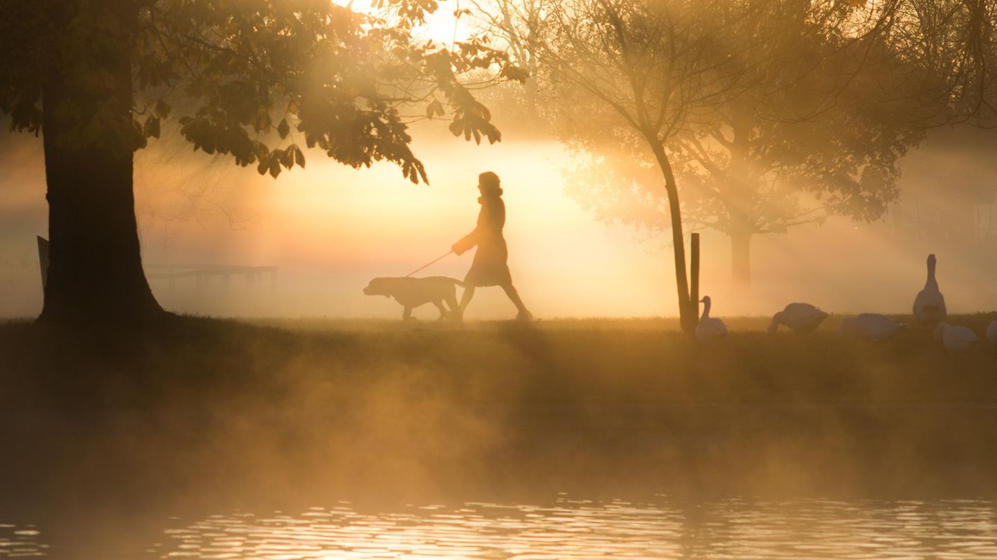 aufmacher-studie-alzheimer-1