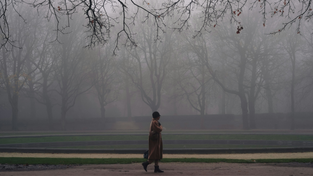 aylin-bulek-Y9AAy4BIm5E-unsplash-Astrologie-Daten-November-2025-1024×576-1