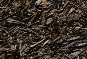 eva_bronzini_hojicha_1125-1024×576-1