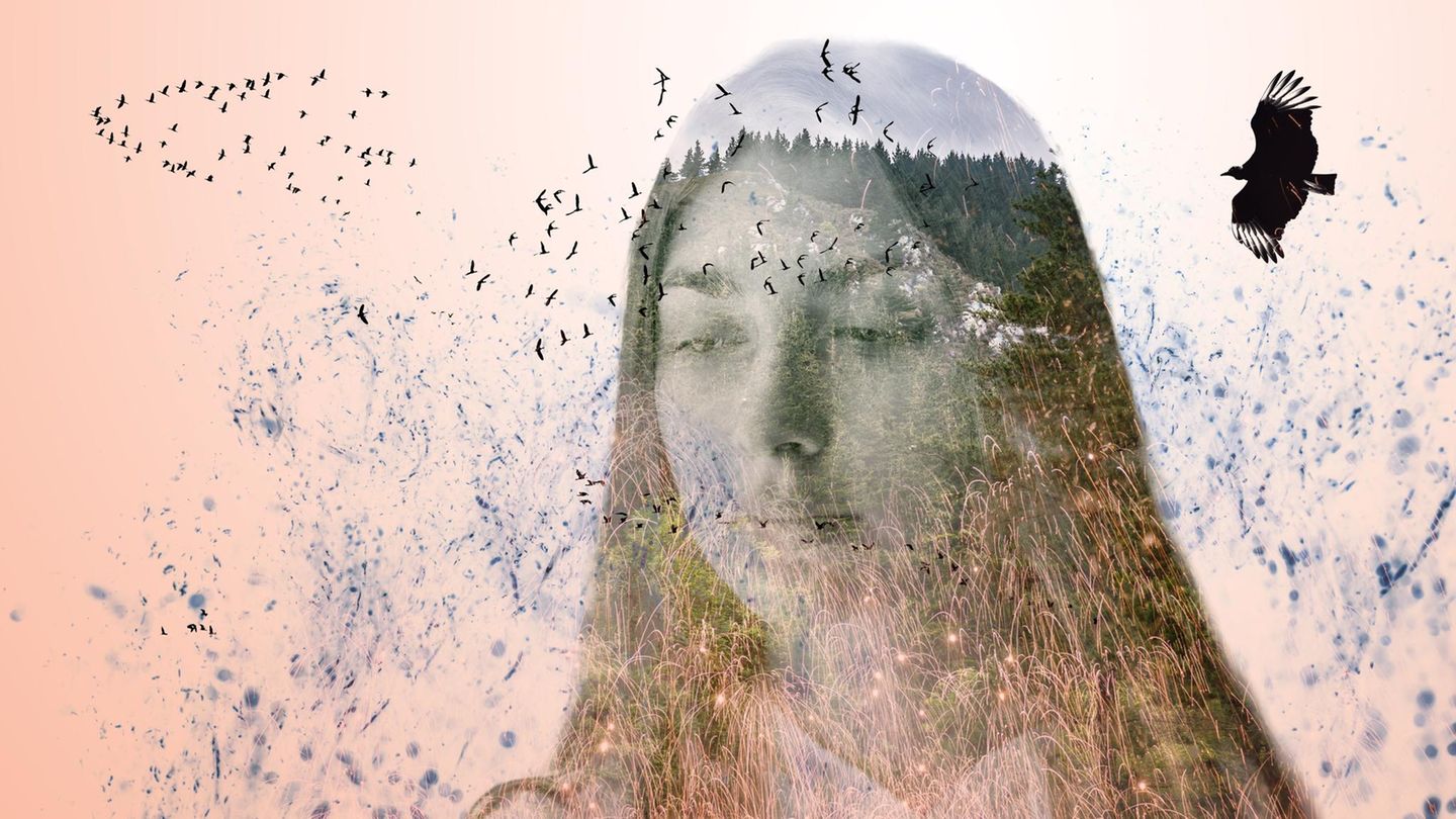 innere-widersprueche-1