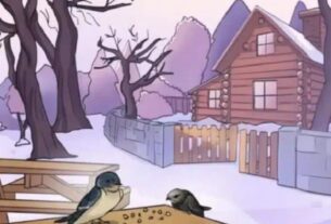 iq-test-nur-drei-prozent-finden-den-fehler-in-der-winterlandschaft-in-neun-sekunden