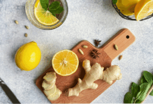 julia_vivcharyk_ginger_bug_1125-1024×576-1