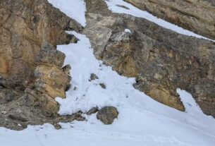 kannst-du-den-schneeleopard-in-unter-zehn-sekunden-finden