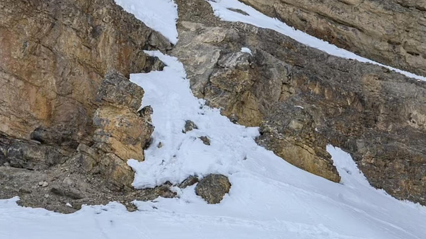 kannst-du-den-schneeleopard-in-unter-zehn-sekunden-finden