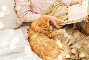 katze-lesen-zuhause-gemuetlich-liebesromane