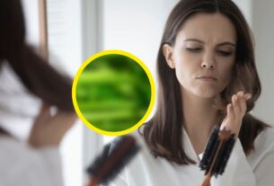 laut-expertinnen-dieses-gemuese