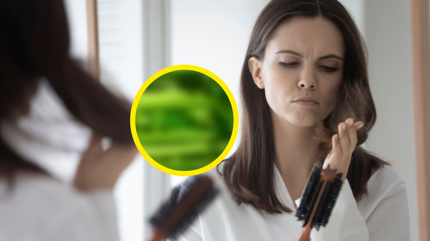 laut-expertinnen-dieses-gemuese